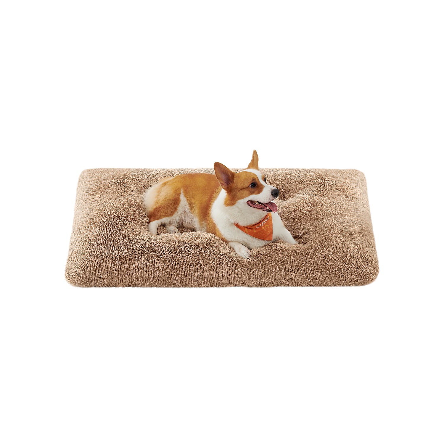 Cuccia per Cani di Peluche Morbida - Image 4