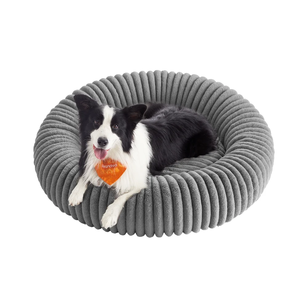 Cuccia per Cani e Gatti - Image 5