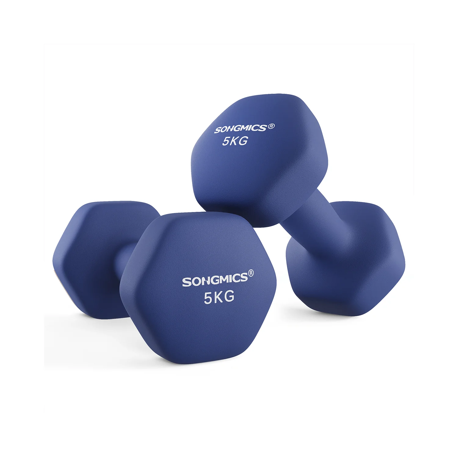 Set di 2 Manubri 2x5 kg con Superficie in Vinile Grigio - Image 2