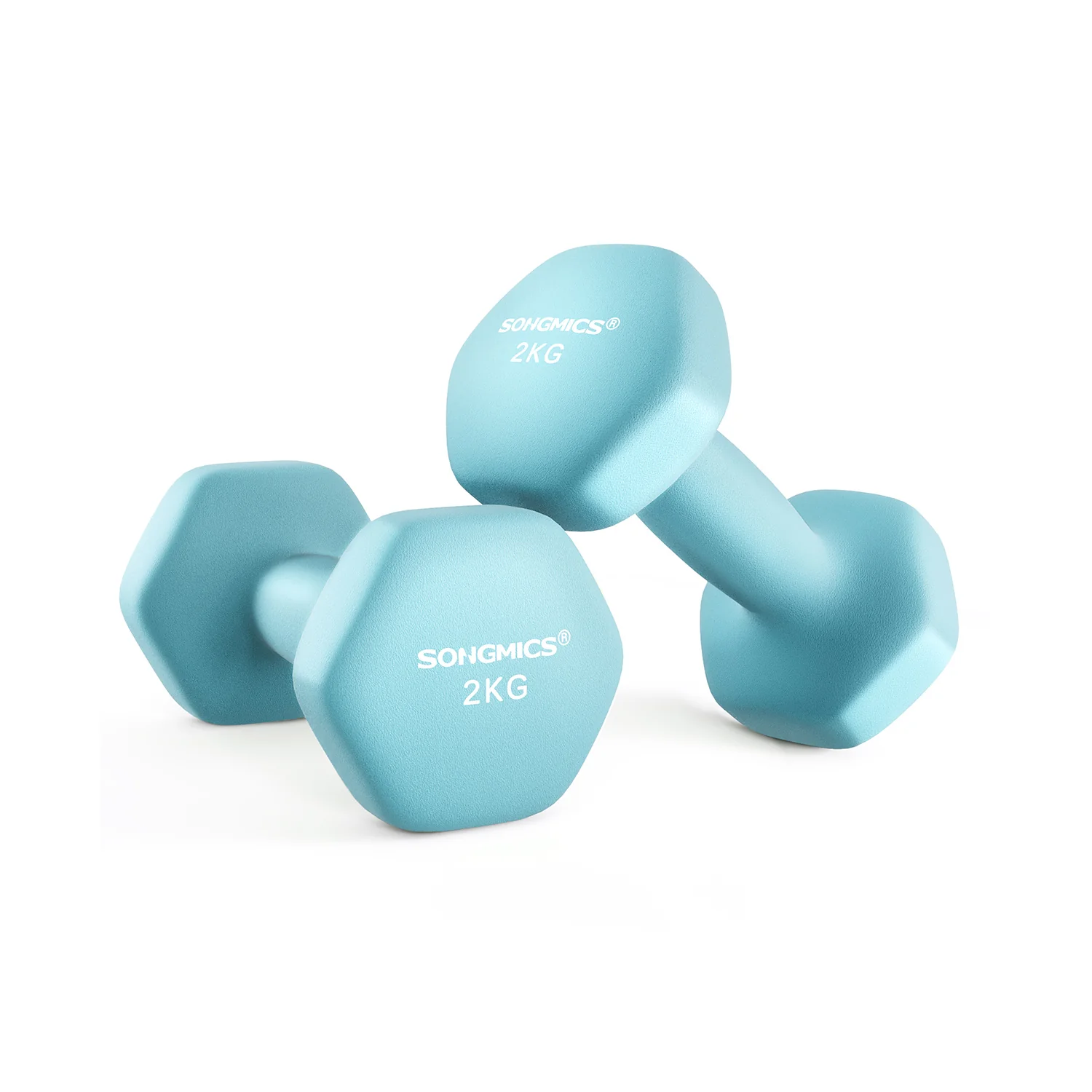 Set di 2 Manubri 2x5 kg con Superficie in Vinile Grigio - Image 6