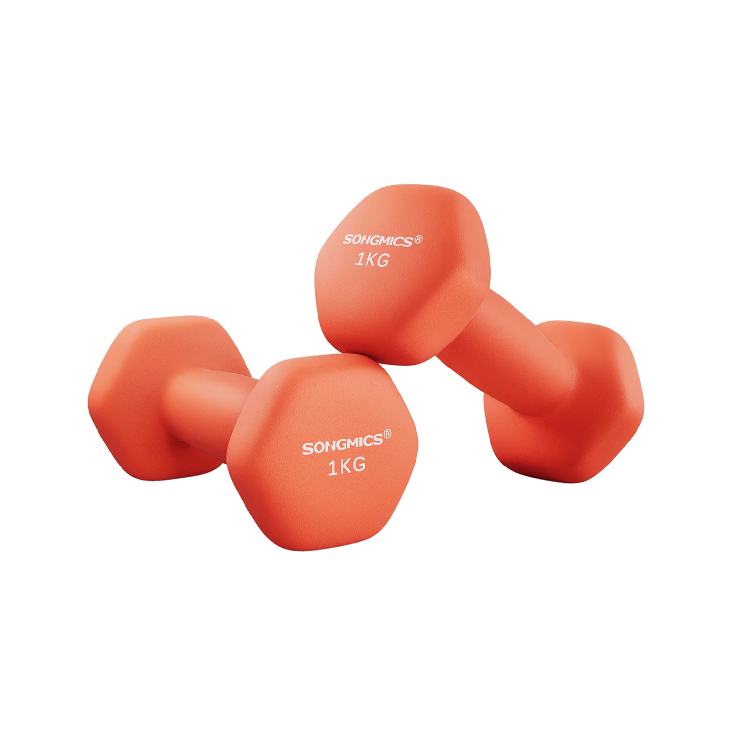 Set di 2 Manubri 2x5 kg con Superficie in Vinile Grigio - Image 8